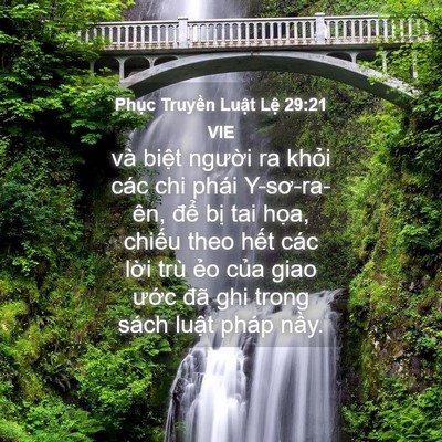 Picture 04 - Phục Truyền Luật Lệ 29:21 VIE - và biệt người ra khỏi các chi phái - Bible Verse Picture