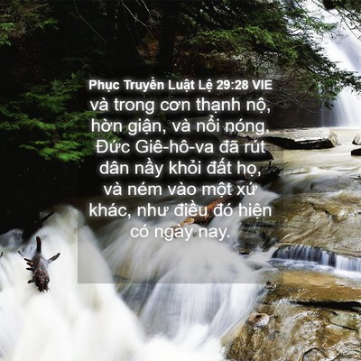 Picture 04 - Phục Truyền Luật Lệ 29:28 VIE - và trong cơn thạnh nộ, hờn giận, và - Bible Verse Picture