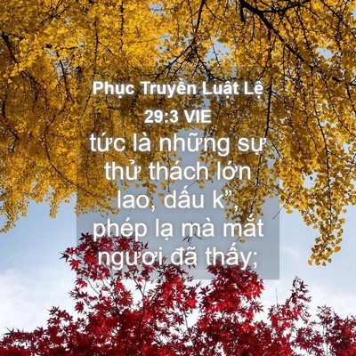 Picture 04 - Phục Truyền Luật Lệ 29:3 VIE - tức là những sự thử thách lớn lao, - Bible Verse Picture