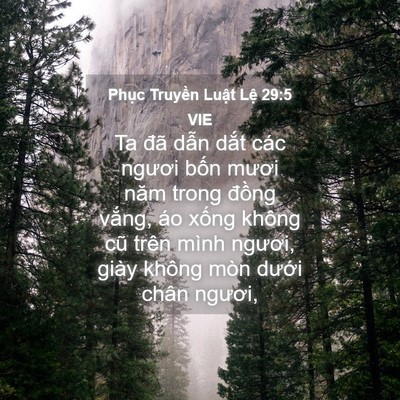 Picture 04 - Phục Truyền Luật Lệ 29:5 VIE - Ta đã dẫn dắt các ngươi bốn mươi - Bible Verse Picture