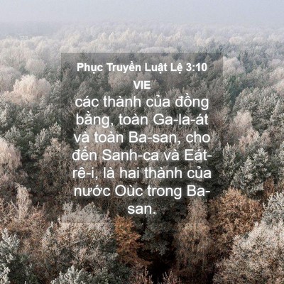 Picture 04 - Phục Truyền Luật Lệ 3:10 VIE - các thành của đồng bằng, toàn Ga-la-át - Bible Verse Picture