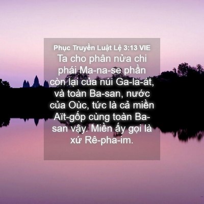 Picture 04 - Phục Truyền Luật Lệ 3:13 VIE - Ta cho phân nửa chi phái Ma-na-se phần còn - Bible Verse Picture