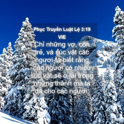 Picture 04 - Phục Truyền Luật Lệ 3:19 VIE - Chỉ những vợ, con trẻ, và súc vật - Bible Verse Picture