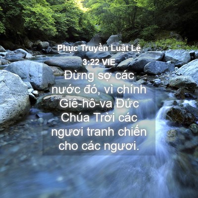 Picture 04 - Phục Truyền Luật Lệ 3:22 VIE - Đừng sợ các nước đó, vì chính - Bible Verse Picture