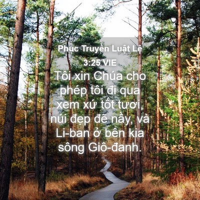Picture 04 - Phục Truyền Luật Lệ 3:25 VIE - Tôi xin Chúa cho phép tôi đi qua xem xứ - Bible Verse Picture