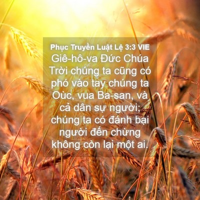 Picture 04 - Phục Truyền Luật Lệ 3:3 VIE - Giê-hô-va Đức Chúa Trời chúng ta cũng - Bible Verse Picture