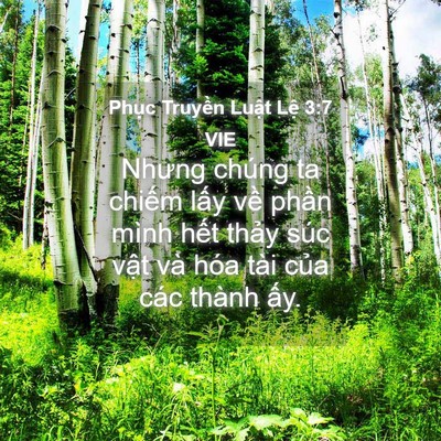 Picture 04 - Phục Truyền Luật Lệ 3:7 VIE - Nhưng chúng ta chiếm lấy về phần mình - Bible Verse Picture