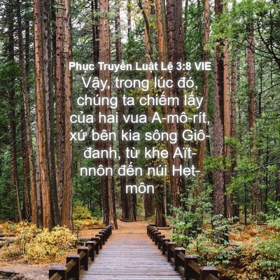 Picture 04 - Phục Truyền Luật Lệ 3:8 VIE - Vậy, trong lúc đó, chúng ta chiếm lấy - Bible Verse Picture