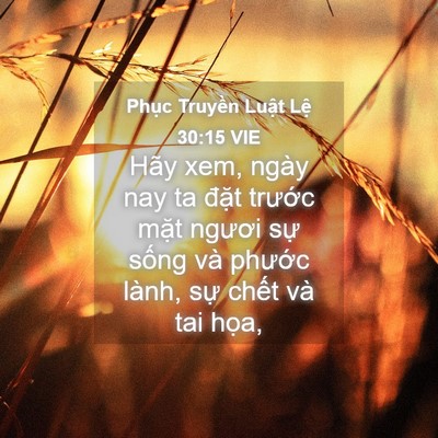 Picture 04 - Phục Truyền Luật Lệ 30:15 VIE - Hãy xem, ngày nay ta đặt trước mặt - Bible Verse Picture