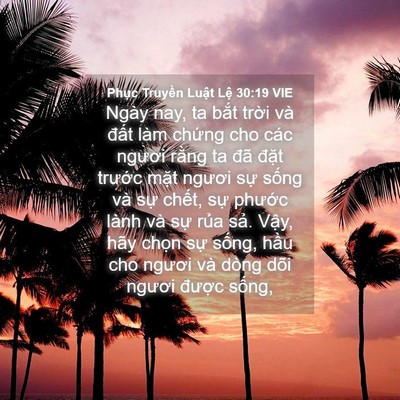 Picture 04 - Phục Truyền Luật Lệ 30:19 VIE - Ngày nay, ta bắt trời và đất làm - Bible Verse Picture