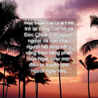 Picture 04 - Phục Truyền Luật Lệ 30:2 VIE - trở lại cùng Giê-hô-va Đức Chúa Trời - Bible Verse Picture