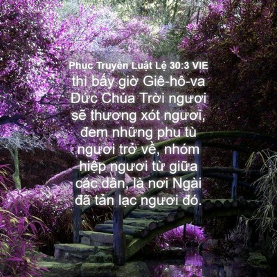 Picture 04 - Phục Truyền Luật Lệ 30:3 VIE - thì bấy giờ Giê-hô-va Đức Chúa Trời - Bible Verse Picture
