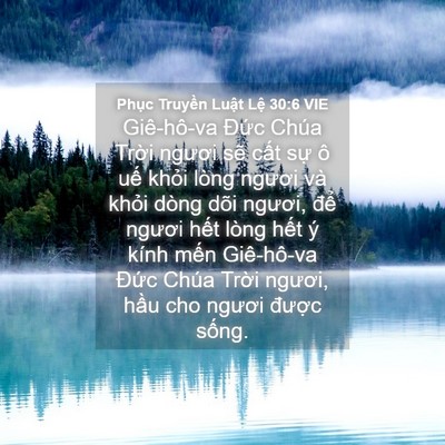 Picture 04 - Phục Truyền Luật Lệ 30:6 VIE - Giê-hô-va Đức Chúa Trời ngươi sẽ - Bible Verse Picture