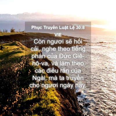 Picture 04 - Phục Truyền Luật Lệ 30:8 VIE - Còn ngươi sẽ hối cải, nghe theo tiếng - Bible Verse Picture