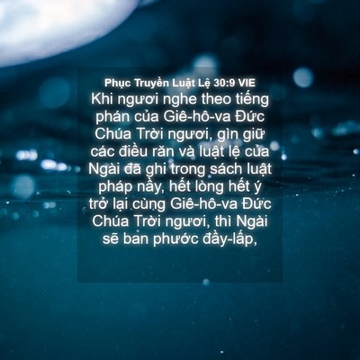 Picture 04 - Phục Truyền Luật Lệ 30:9 VIE - Khi ngươi nghe theo tiếng phán của - Bible Verse Picture