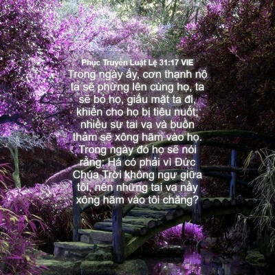 Picture 04 - Phục Truyền Luật Lệ 31:17 VIE - Trong ngày ấy, cơn thạnh nộ ta sẽ - Bible Verse Picture