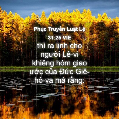 Picture 04 - Phục Truyền Luật Lệ 31:25 VIE - thì ra lịnh cho người Lê-vi khiêng hòm - Bible Verse Picture