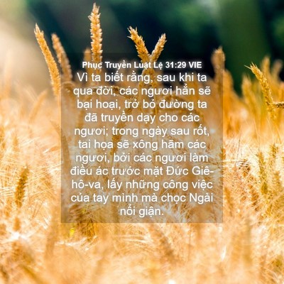 Picture 04 - Phục Truyền Luật Lệ 31:29 VIE - Vì ta biết rằng, sau khi ta qua đời, các - Bible Verse Picture