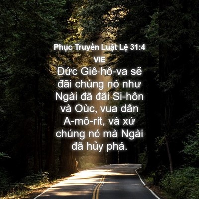 Picture 04 - Phục Truyền Luật Lệ 31:4 VIE - Đức Giê-hô-va sẽ đãi chúng nó như - Bible Verse Picture