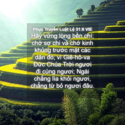 Picture 04 - Phục Truyền Luật Lệ 31:6 VIE - Hãy vững lòng bền chí; chớ sợ chi và - Bible Verse Picture