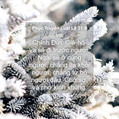 Picture 04 - Phục Truyền Luật Lệ 31:8 VIE - Chính Đức Giê-hô-va sẽ đi trước - Bible Verse Picture