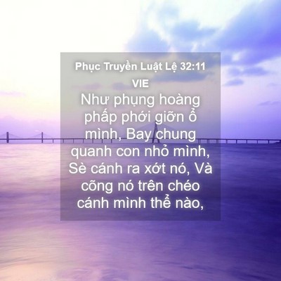 Picture 04 - Phục Truyền Luật Lệ 32:11 VIE - Như phụng hoàng phấp phới giỡn ổ - Bible Verse Picture