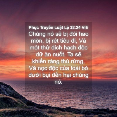 Picture 04 - Phục Truyền Luật Lệ 32:24 VIE - Chúng nó sẽ bị đói hao mòn, bị rét - Bible Verse Picture