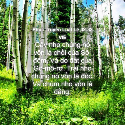 Picture 04 - Phục Truyền Luật Lệ 32:32 VIE - Cây nho chúng nó vốn là chồi của - Bible Verse Picture