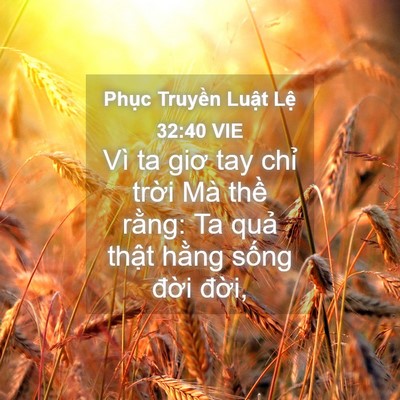 Picture 04 - Phục Truyền Luật Lệ 32:40 VIE - Vì ta giơ tay chỉ trời Mà thề rằng: Ta - Bible Verse Picture