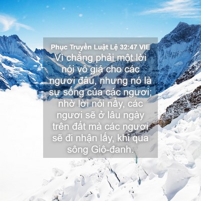 Picture 04 - Phục Truyền Luật Lệ 32:47 VIE - Vì chẳng phải một lời nói vô giá cho - Bible Verse Picture