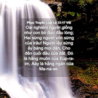 Picture 04 - Phục Truyền Luật Lệ 33:17 VIE - Oai nghiêm người giống như con bò đực - Bible Verse Picture