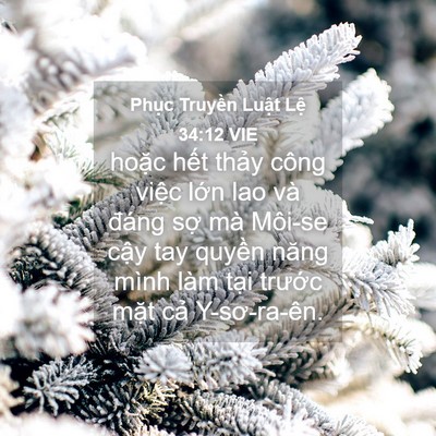 Picture 04 - Phục Truyền Luật Lệ 34:12 VIE - hoặc hết thảy công việc lớn lao và - Bible Verse Picture
