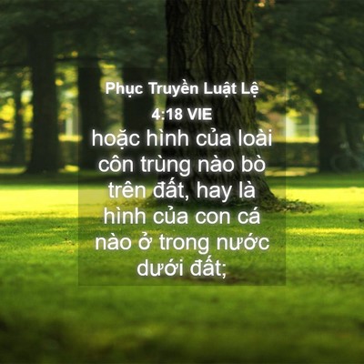 Picture 04 - Phục Truyền Luật Lệ 4:18 VIE - hoặc hình của loài côn trùng nào bò - Bible Verse Picture