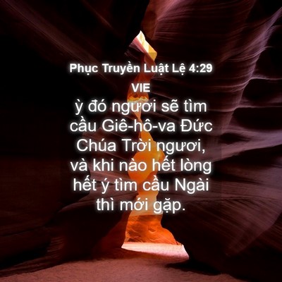 Picture 04 - Phục Truyền Luật Lệ 4:29 VIE - ỳ đó ngươi sẽ tìm cầu Giê-hô-va - Bible Verse Picture