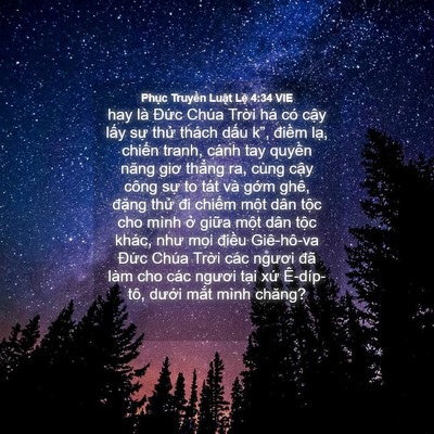 Picture 04 - Phục Truyền Luật Lệ 4:34 VIE - hay là Đức Chúa Trời há có cậy lấy - Bible Verse Picture