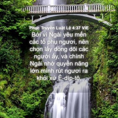 Picture 04 - Phục Truyền Luật Lệ 4:37 VIE - Bởi vì Ngài yêu mến các tổ phụ - Bible Verse Picture