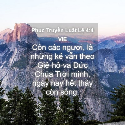 Picture 04 - Phục Truyền Luật Lệ 4:4 VIE - Còn các ngươi, là những kẻ vẫn theo - Bible Verse Picture