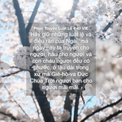 Picture 04 - Phục Truyền Luật Lệ 4:40 VIE - Hãy giữ những luật lệ và điều răn - Bible Verse Picture