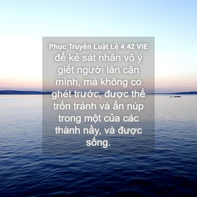 Picture 04 - Phục Truyền Luật Lệ 4:42 VIE - để kẻ sát nhân vô ý giết người lân - Bible Verse Picture