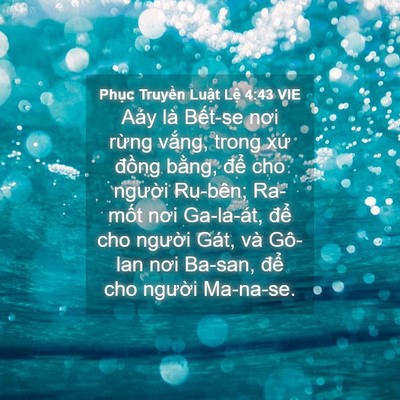Picture 04 - Phục Truyền Luật Lệ 4:43 VIE - Aáy là Bết-se nơi rừng vắng, trong xứ - Bible Verse Picture
