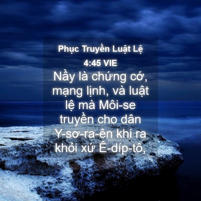 Picture 04 - Phục Truyền Luật Lệ 4:45 VIE - Nầy là chứng cớ, mạng lịnh, và luật - Bible Verse Picture