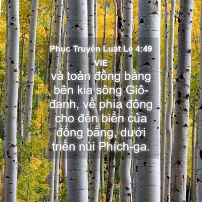 Picture 04 - Phục Truyền Luật Lệ 4:49 VIE - và toàn đồng bằng bên kia sông - Bible Verse Picture
