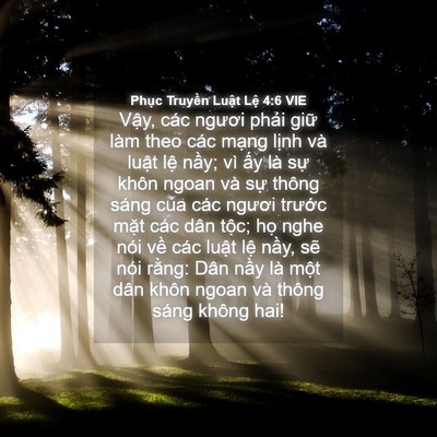 Picture 04 - Phục Truyền Luật Lệ 4:6 VIE - Vậy, các ngươi phải giữ làm theo các - Bible Verse Picture