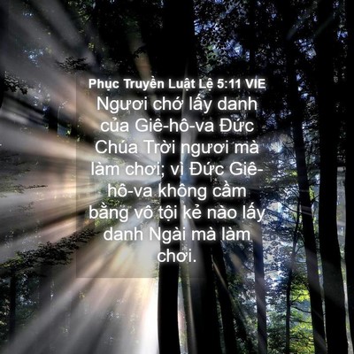 Picture 04 - Phục Truyền Luật Lệ 5:11 VIE - Ngươi chớ lấy danh của Giê-hô-va Đức - Bible Verse Picture