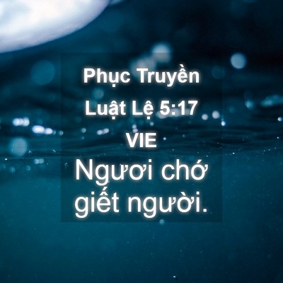 Picture 04 - Phục Truyền Luật Lệ 5:17 VIE - Ngươi chớ giết - Bible Verse Picture