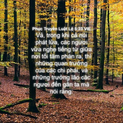 Picture 04 - Phục Truyền Luật Lệ 5:23 VIE - Vả, trong khi cả núi phát lửa, các - Bible Verse Picture