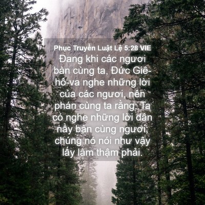 Picture 04 - Phục Truyền Luật Lệ 5:28 VIE - Đang khi các ngươi bàn cùng ta, Đức - Bible Verse Picture