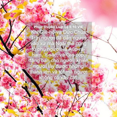 Picture 04 - Phục Truyền Luật Lệ 6:10 VIE - Khi Giê-hô-va Đức Chúa Trời ngươi đã - Bible Verse Picture