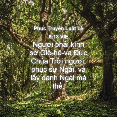 Picture 04 - Phục Truyền Luật Lệ 6:13 VIE - Ngươi phải kính sợ Giê-hô-va Đức - Bible Verse Picture