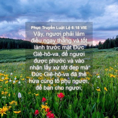 Picture 04 - Phục Truyền Luật Lệ 6:18 VIE - Vậy, ngươi phải làm điều ngay thẳng - Bible Verse Picture